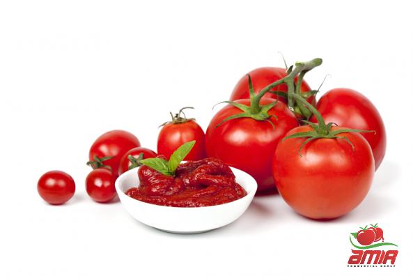 Thick Tomato Concentrate Recipe
