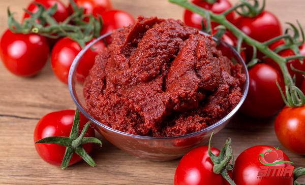 Best Tomato Concentrate at Global Market