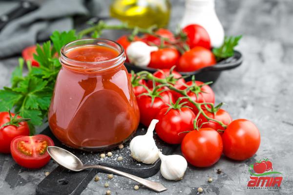 What Are the Features of Best Tomato Concentrate?