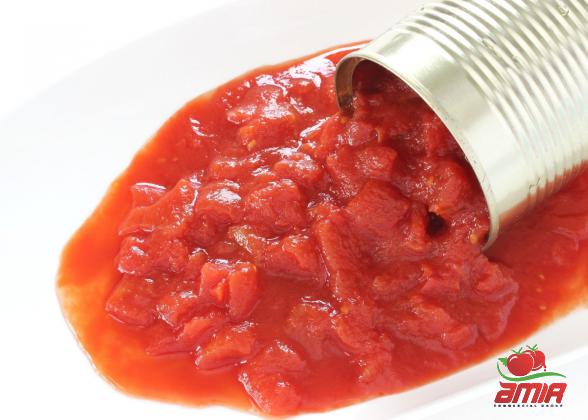 The Best Tomato Paste Derived from The Best Crops
