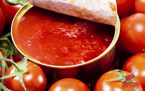 Export Companies of Tomato Paste