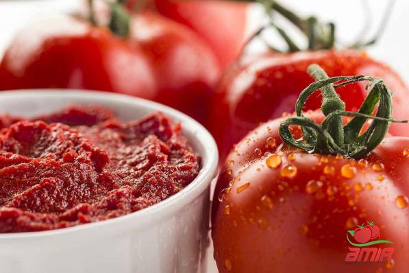 Differences Between Tomato Paste and Tomato Concentrate