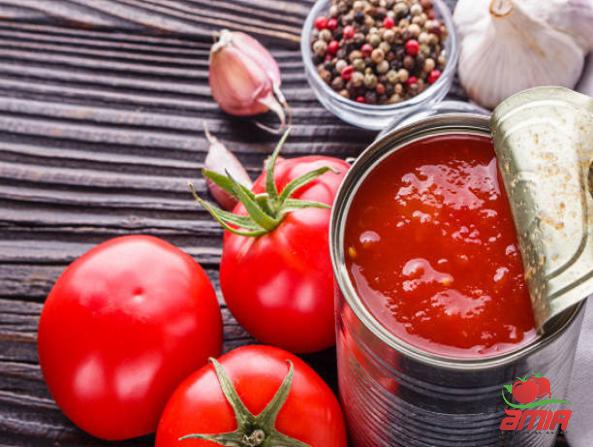 Global Exportation of Canned Tomato Paste
