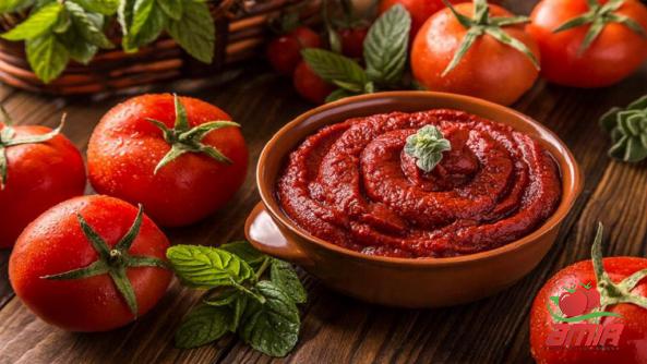 Perfect Double Concentrated Tomato Paste Wholesale Price