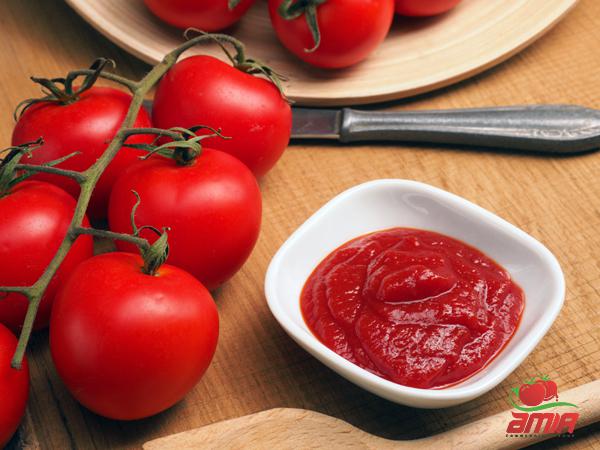 How to Make Organic Tomato Paste?