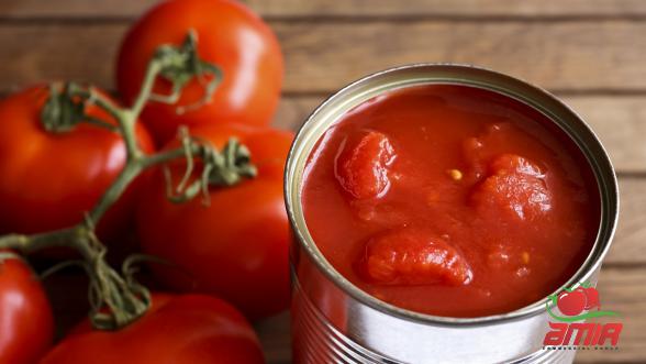 Wholesale Organic Concentrate Tomato Contributor
