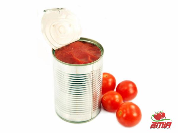 Daily Usage of Canned Tomato Paste