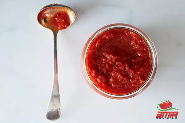 Usage of Double Concentrated Tomato Paste in Different Meals