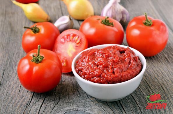 Export Companies of Fresh Tomato Concentrate