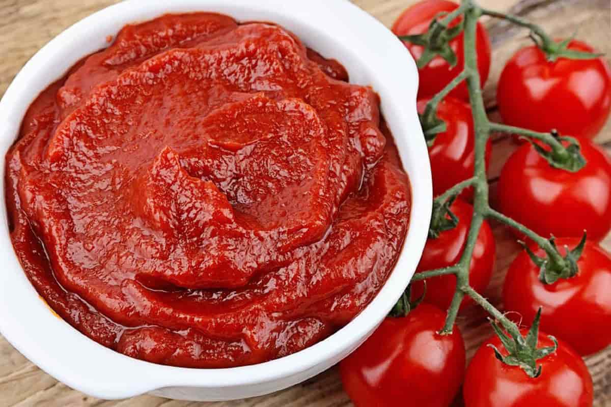  tomato paste manufacturing business plan with high market share 