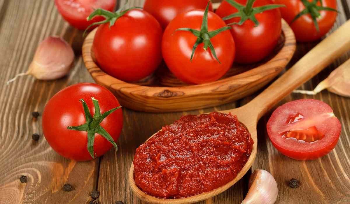  Buy Heavy Metals Tomato Paste + Great Price 