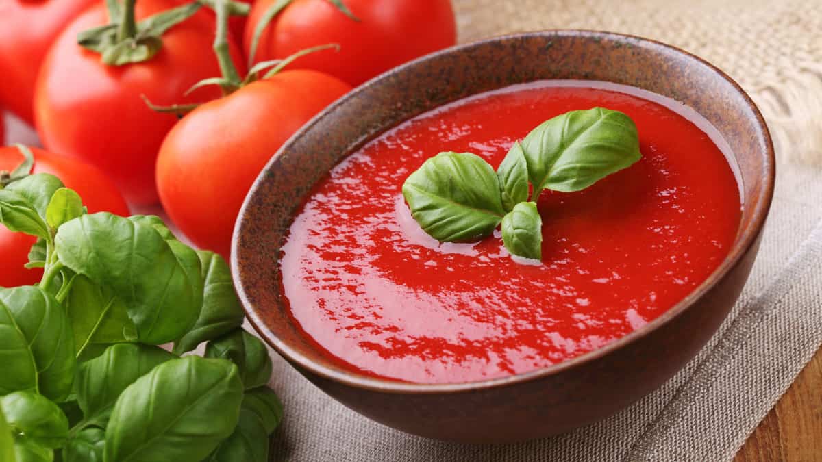  Buy Best tomato paste in bulk + Best Price 