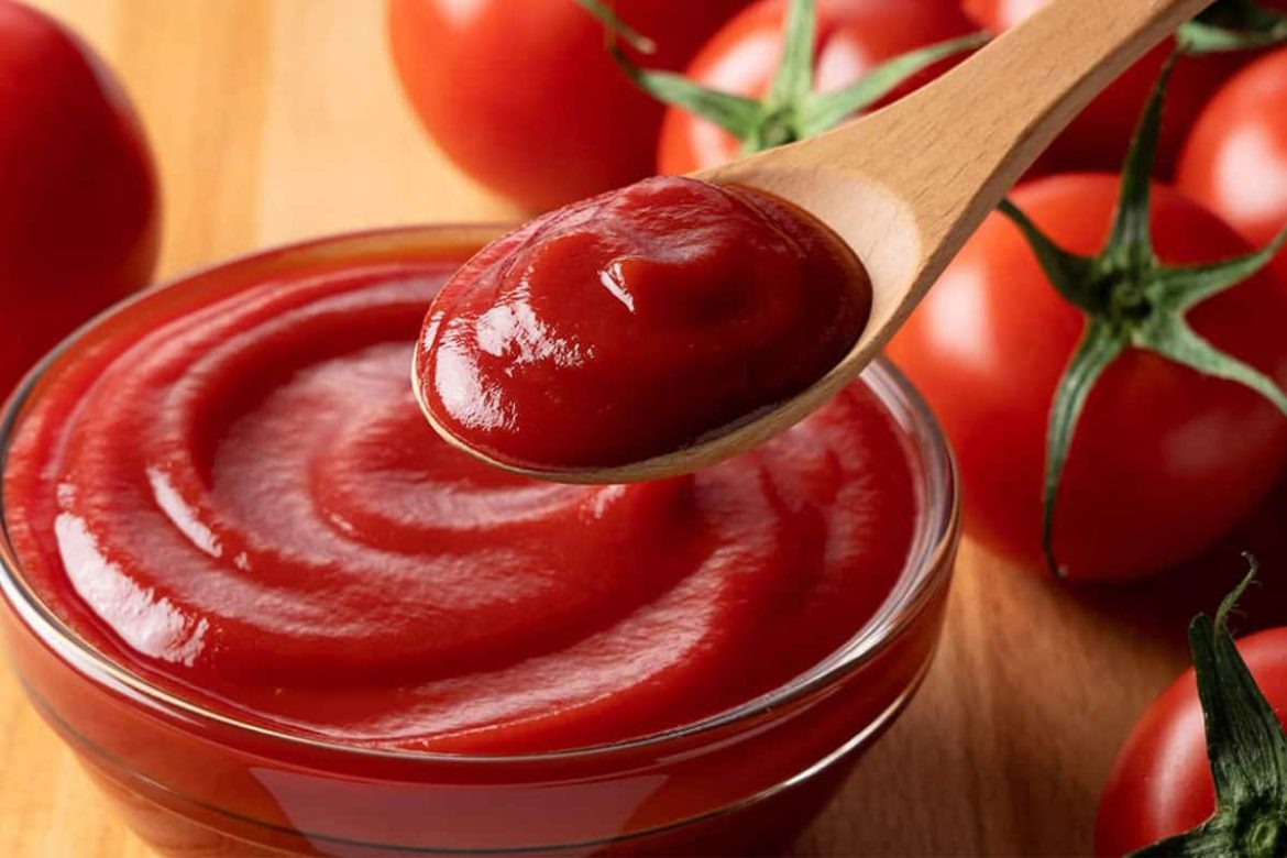 Tomato paste manufacturing plant and production steps