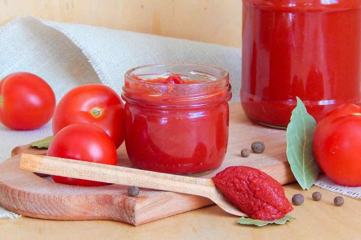 Tomato paste business plan | buy at a cheap price