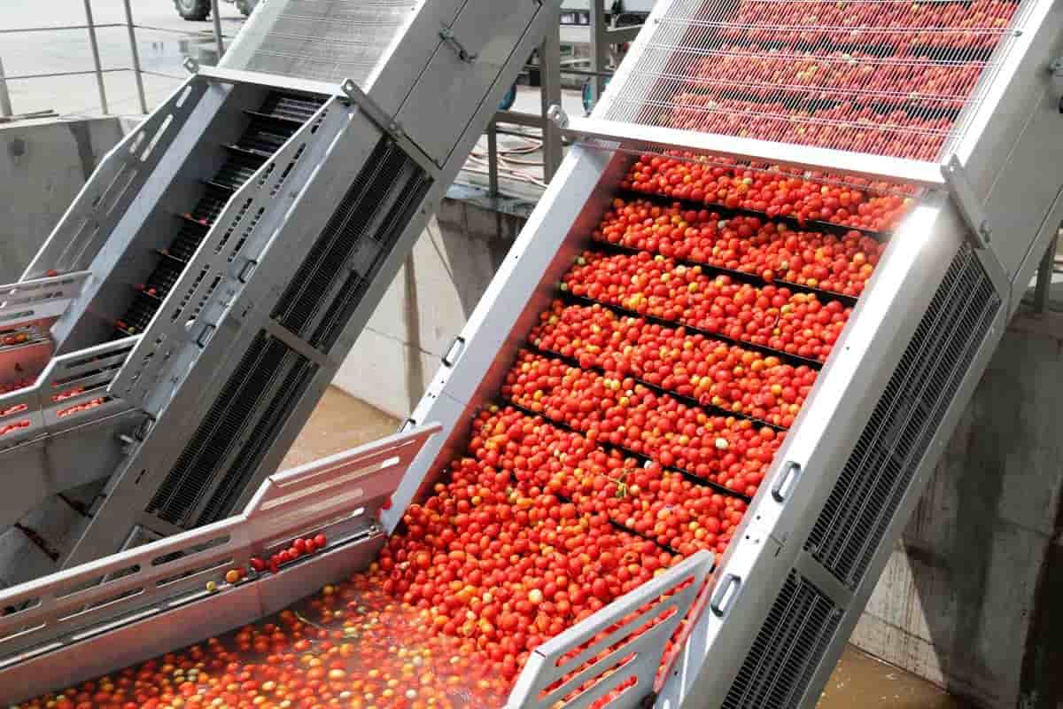  Buy Tomato Paste | Selling with Reasonable Prices 