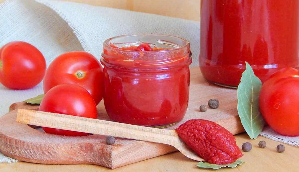  Introduction of costco tomato paste + Best buy price 