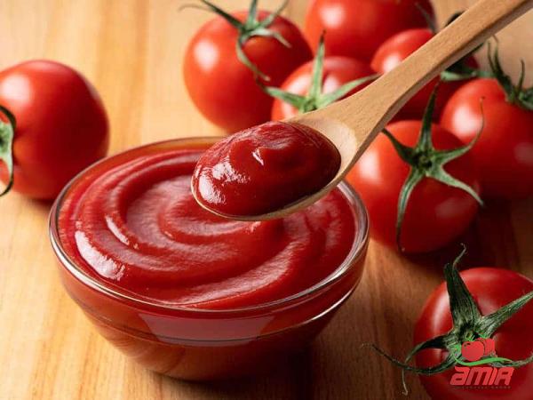 alternative to tomato paste | Buy at a cheap price