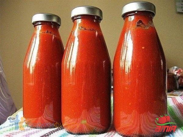 The purchase price of tomato paste bottle + training