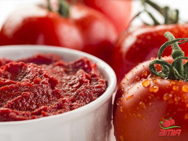 organic tomato paste in glass jar | great price