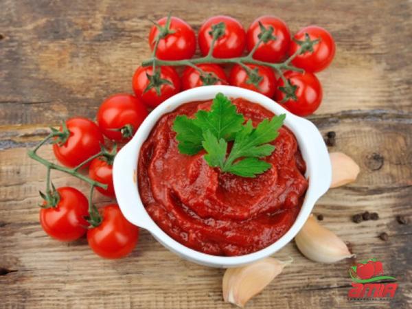best tomato paste purchase price + preparation method