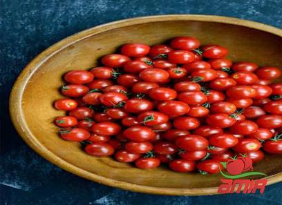 Purchase and price of tomato paste for toddlers types