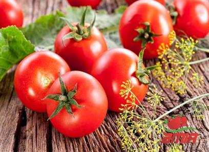 Purchase and price of eating tomato paste types