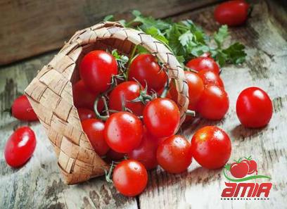 easy quick made tomato paste + best buy price