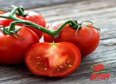 Buy santorini tomato paste amazon + best price