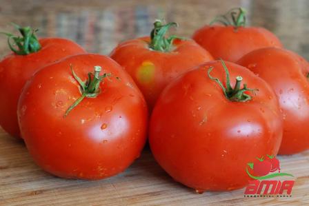 Buy tomato paste aldi uk + best price