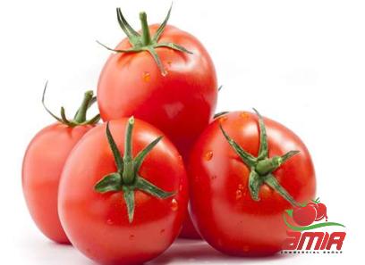 Purchase and today price of tomato paste in spanish