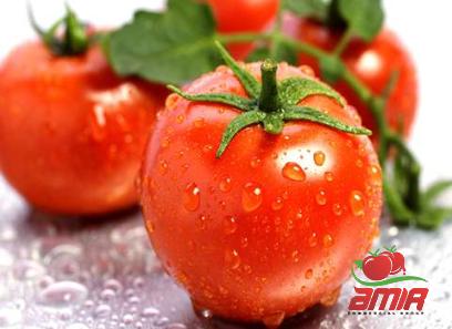 Buy turkey chili tomato paste + best price
