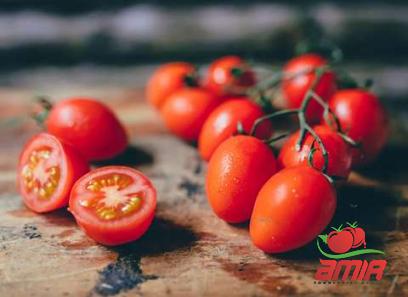 Buy homemade tomato paste easy + best price