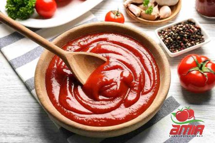Buy best tomato paste types + price