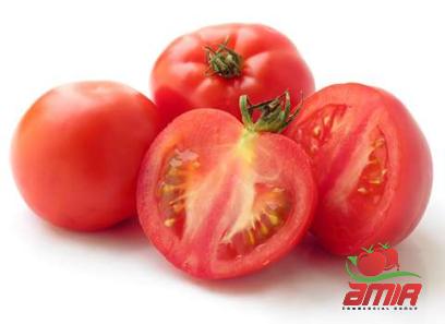 Buy yellow tomato paste types + price