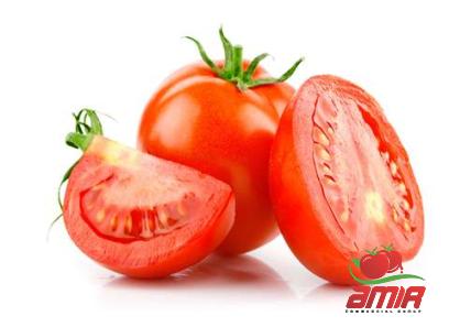 Buy easy mde tomato paste + best price