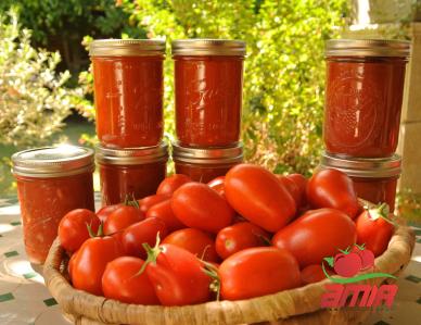 Purchase and price of garlic tomato paste types