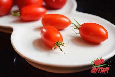 Buy 1 can tomato paste types + price