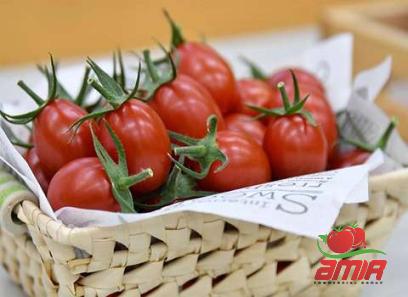 Buy tomato paste in chili types + price