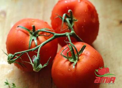 Buy easy eating tomato paste + best price