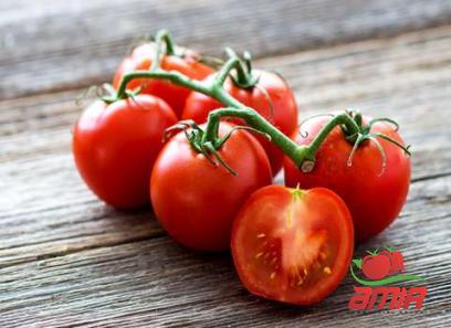 Buy lowest carb tomato paste + best price