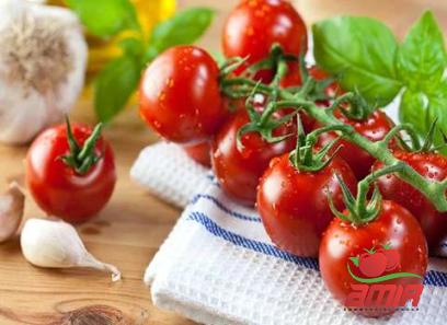 sun dried tomato paste amazon + best buy price