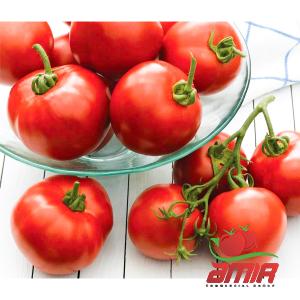 Buy top fresh tomato paste + best price