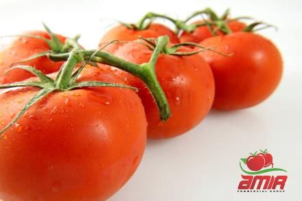 best concentrated tomato paste | Buy at a cheap price