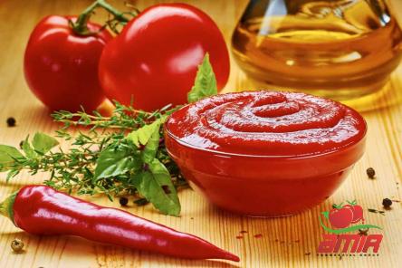Purchase and today price of vitamix tomato paste