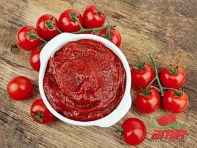 Buy itailian tomato paste types + price