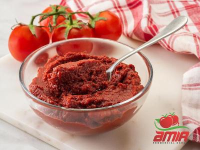 Buy easy made tomato paste + best price