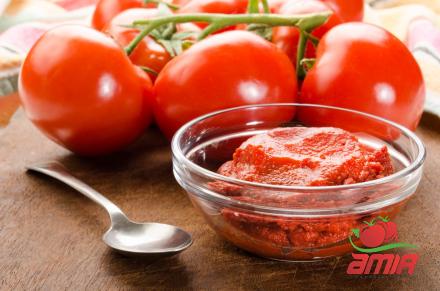 easy open canned tomato paste + best buy price