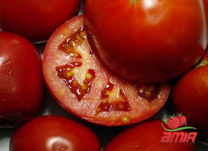 Buy homemade italian tomato paste + best price