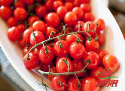 Buy quick homemade tomato paste + best price