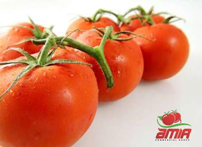 Buy chinese tomato paste types + price
